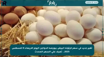 تغير جديد في سعر كرتونة البيض ببورصة الدواجن اليوم الأربعاء 6 أغسطس 2025.. تعرف على السعر المحدث